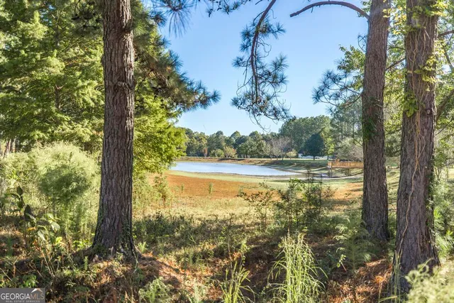 a view of lake from a yard
