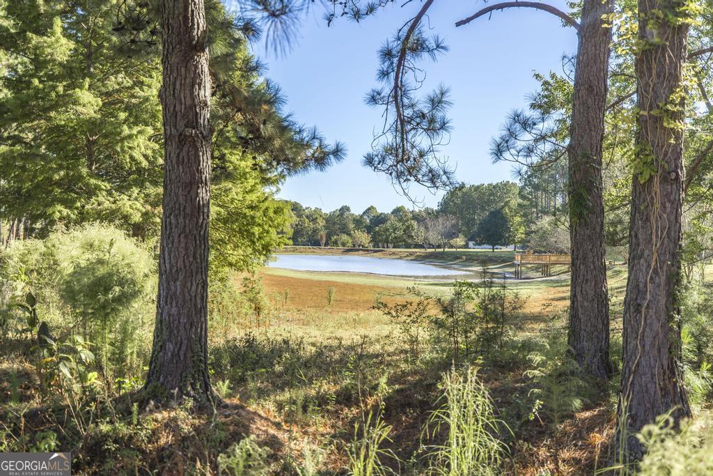 119 William D Street Cochran, GA 31014 - Photo 40 of 42 a view of lake from a yard