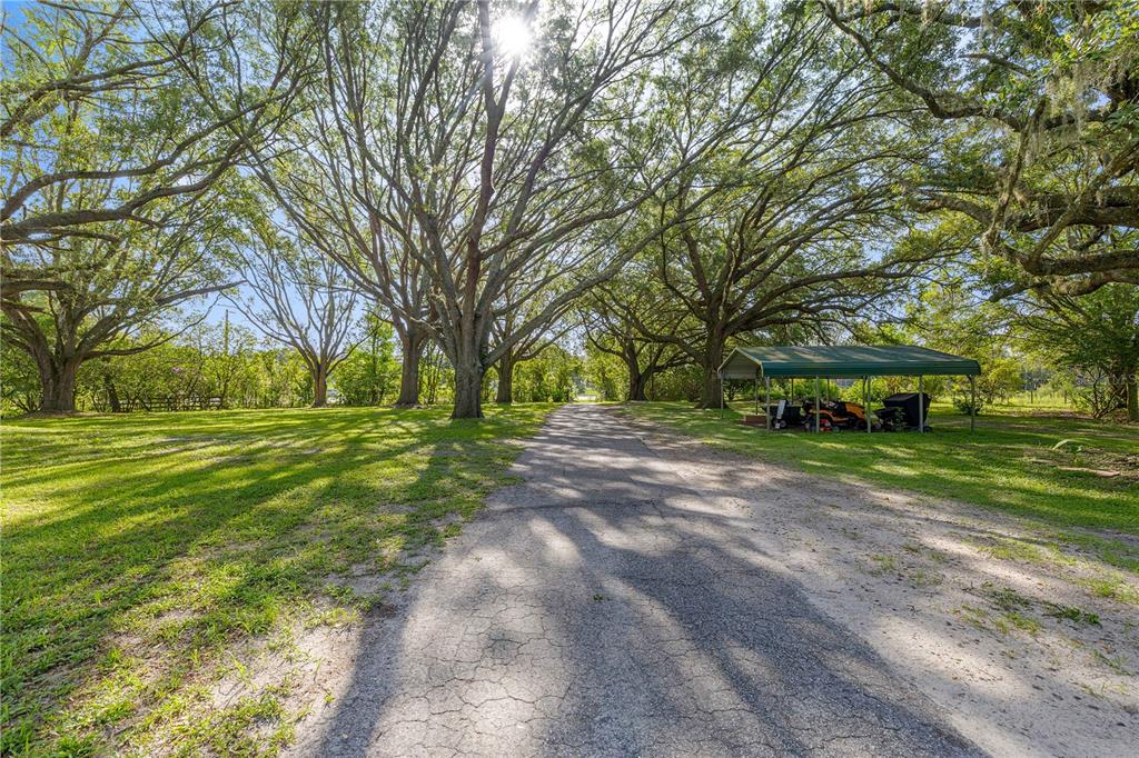 16250 Southwest 20th Avenue Road Ocala, FL 34473 - Photo 63 of 75