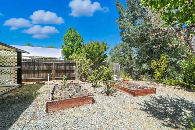 a view of a yard with plants and tree
