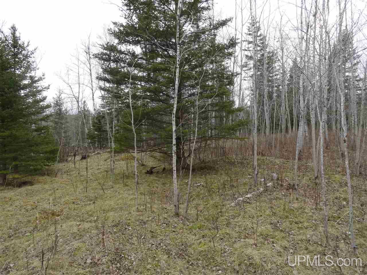 44-acres Ford River Road Arnold, MI 49831 - Photo 15 of 36