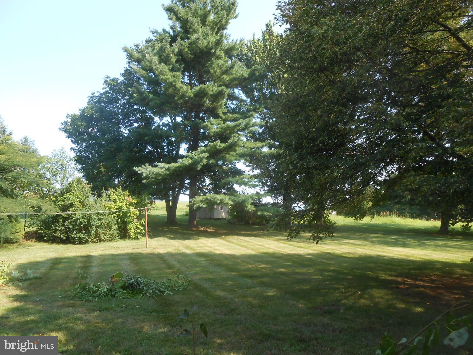 11228 Angleberger Road Thurmont, MD 21788 - Photo 22 of 25 mature trees provided lots of backyard shade