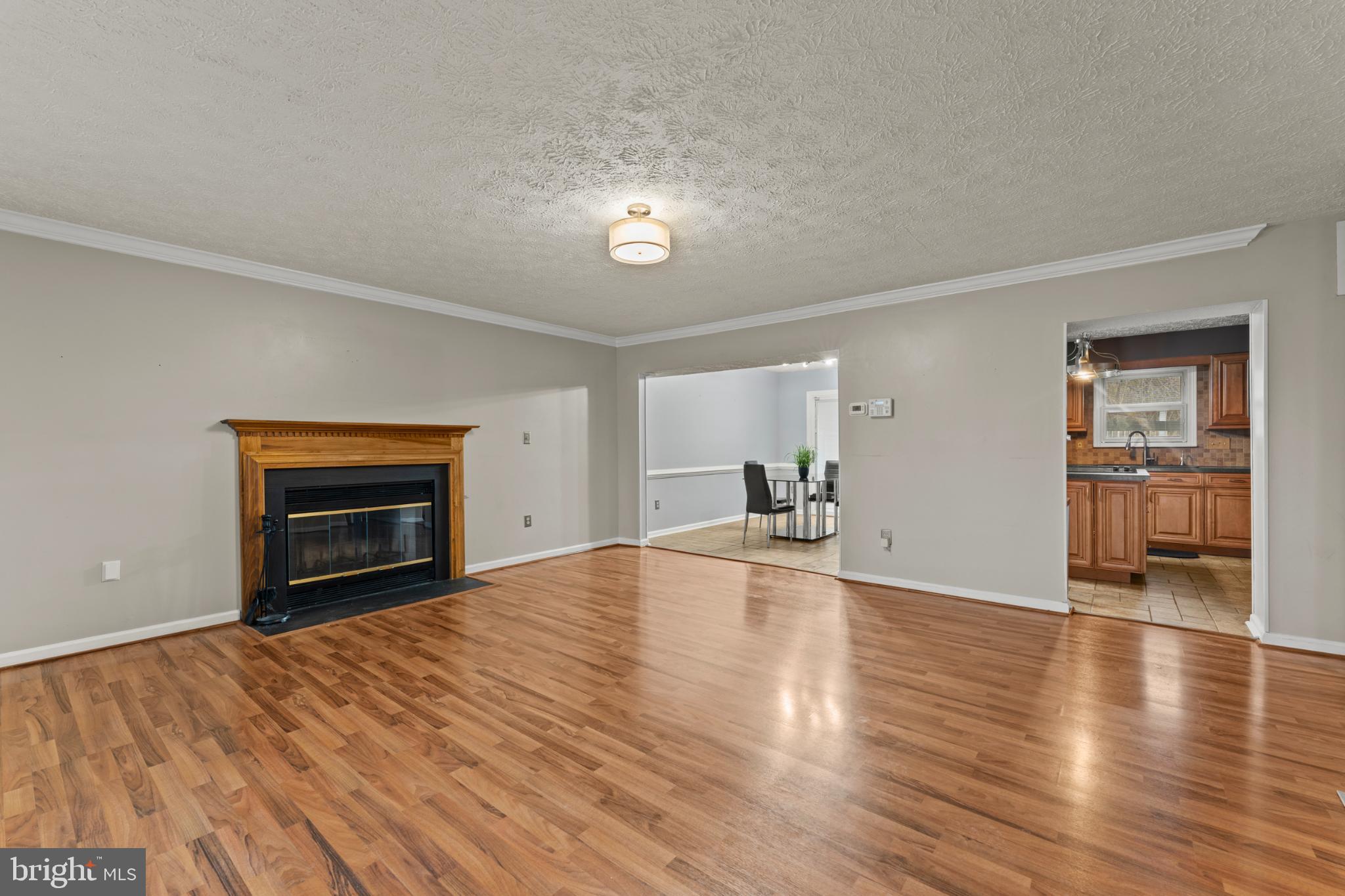 3189 Ebbtide Drive Edgewood, MD 21040 - Photo 3 of 33 Spacious living area with elegant fireplace.