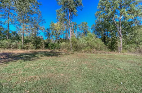 a view of a yard with trees