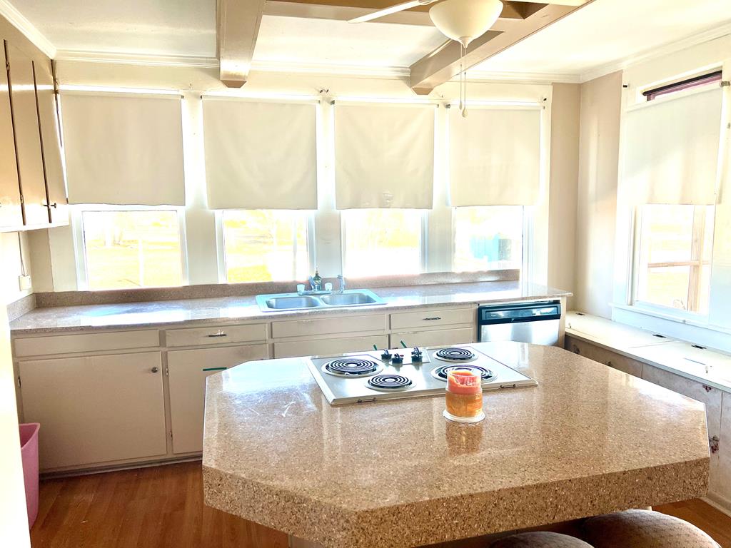 174 Clyde Howell Road Bainbridge, GA 39817 - Photo 22 of 41 Lots of windows in kitchen
