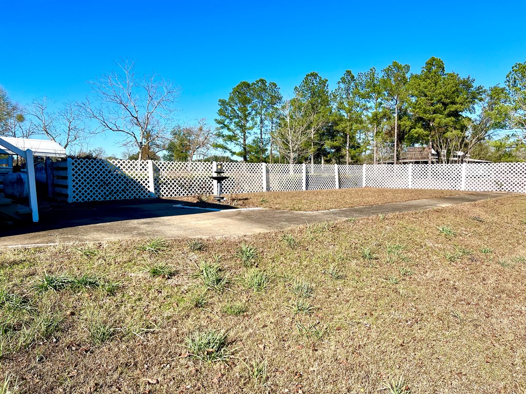 174 Clyde Howell Road Bainbridge, GA 39817 - Photo 36 of 41 One area of side/back yard