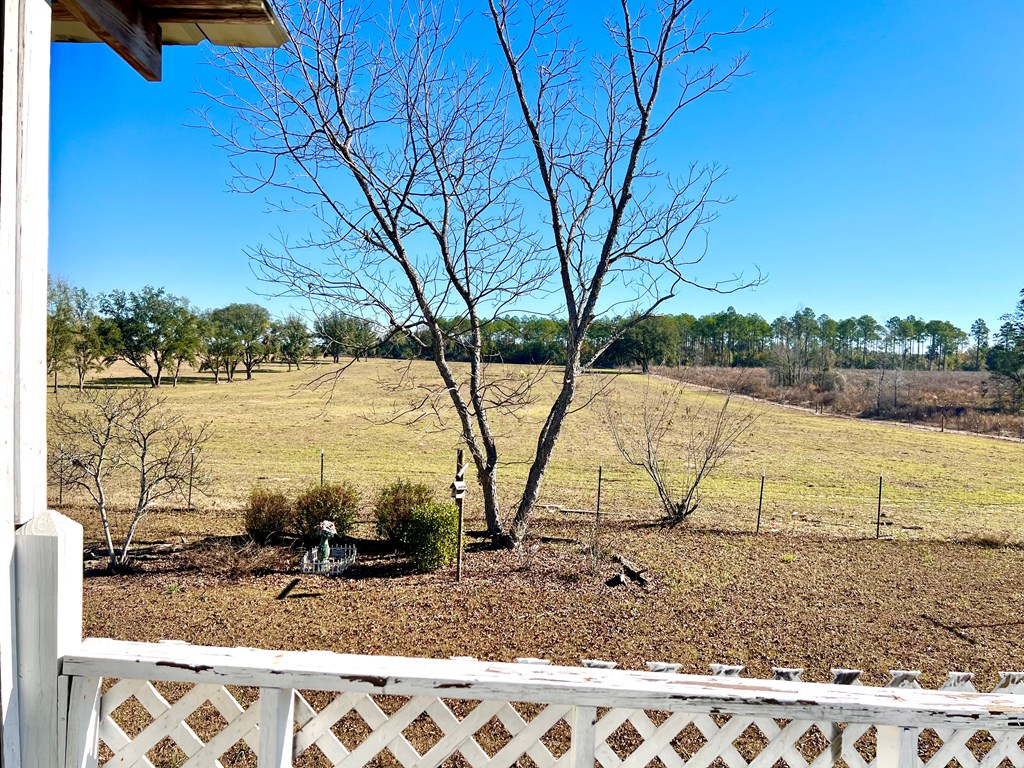 174 Clyde Howell Road Bainbridge, GA 39817 - Photo 37 of 41 View from back deck