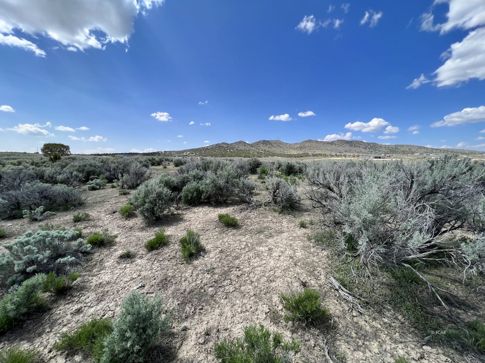 693 Buffside Drive Spring Creek, NV 89815 - Photo 7 of 14