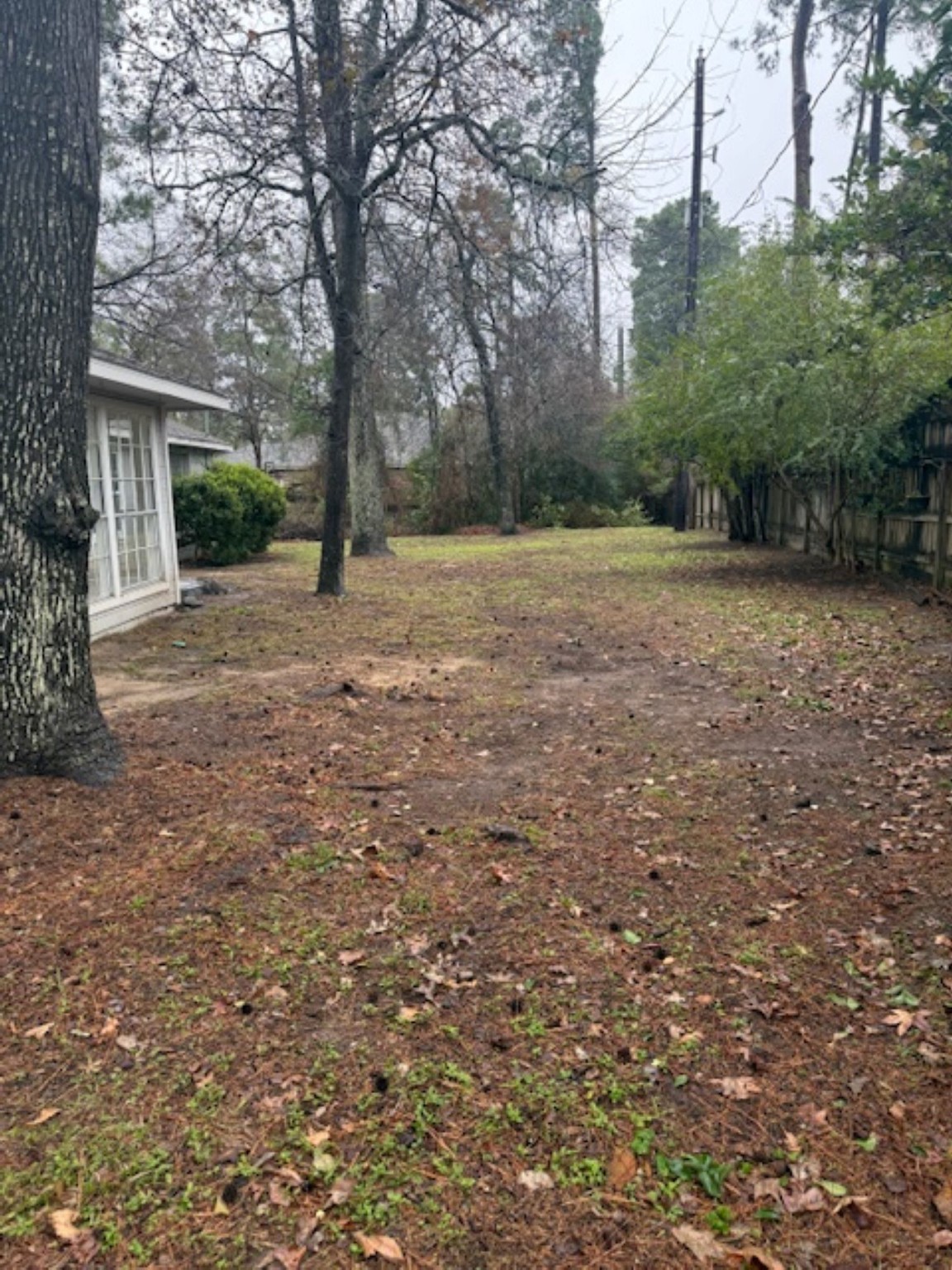 19103 Shay Lane Humble, TX 77346 - Photo 4 of 18 a view of a yard with plants and trees