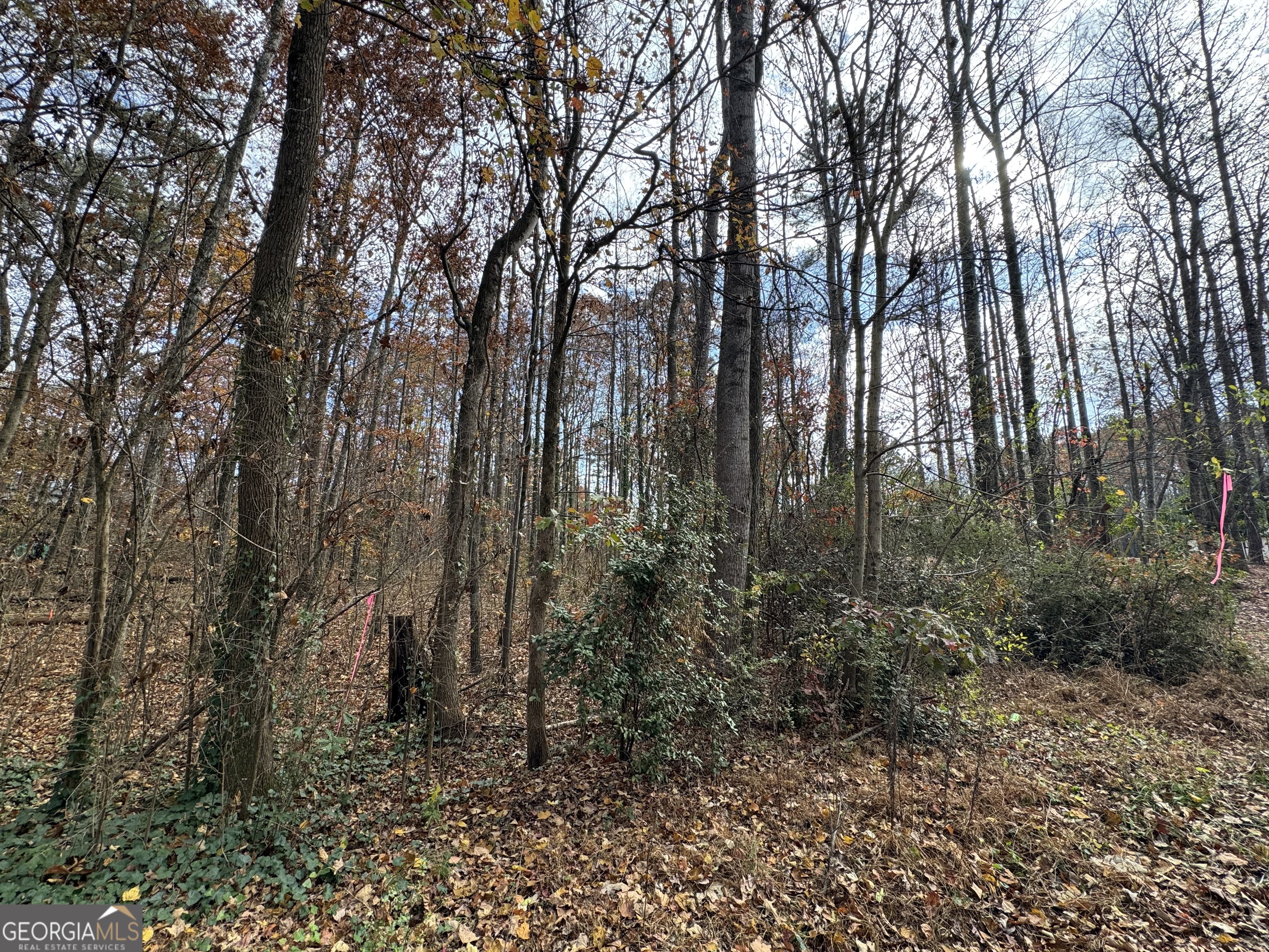 0 Hamby Road Acworth, GA 30102 - Photo 1 of 4 a view of forest