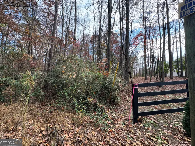 a view of a yard with large trees