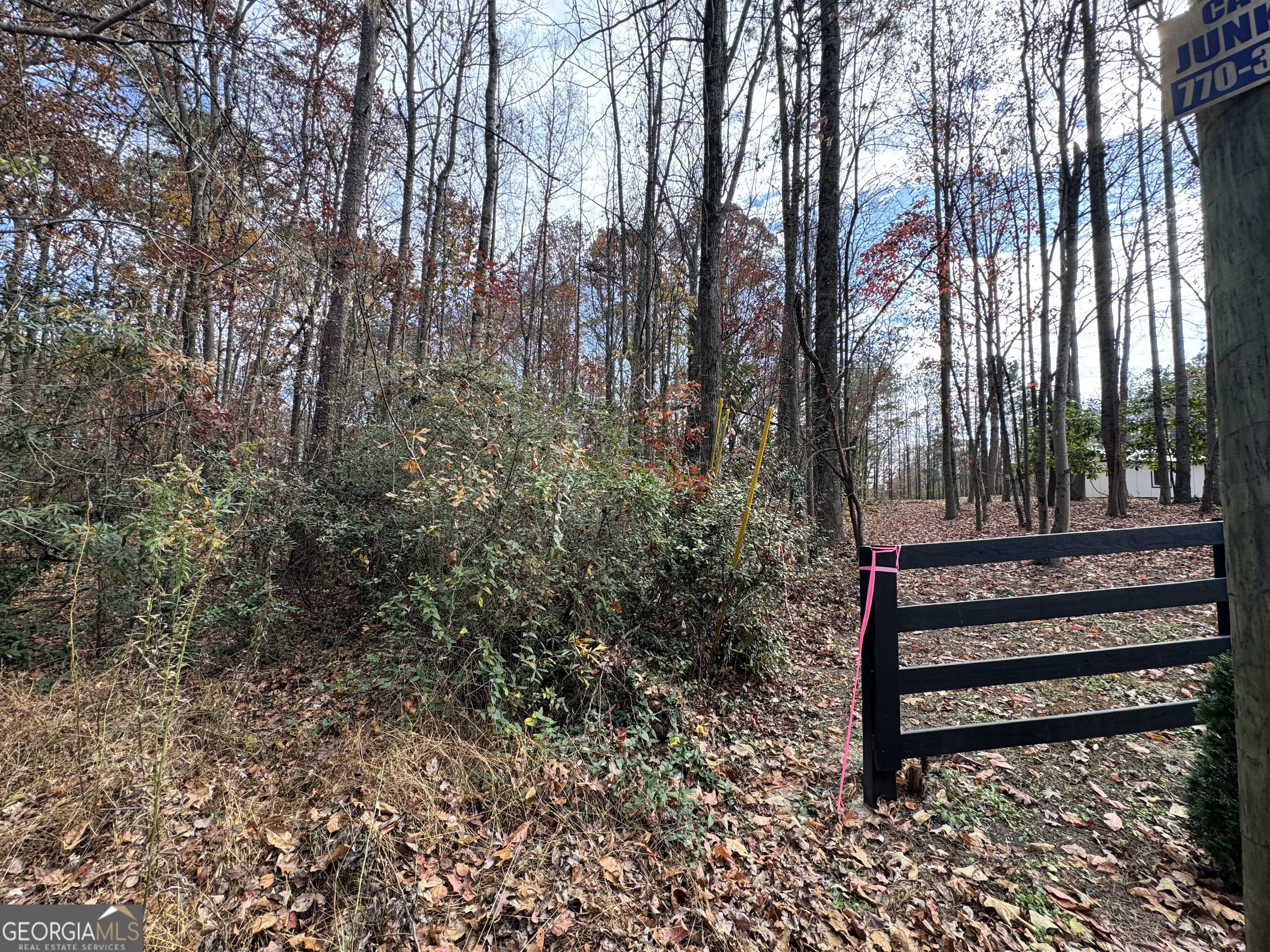 0 Hamby Road Acworth, GA 30102 - Photo 3 of 4 a view of a yard with large trees