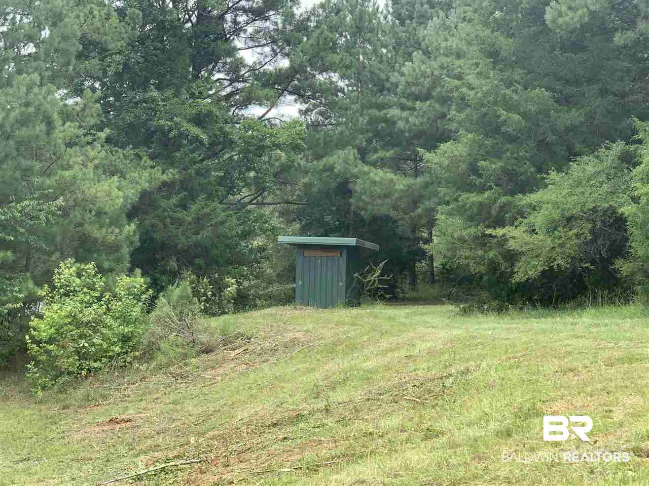 1178 Dry Lake Road Luverne, AL 36049 - Photo 16 of 50