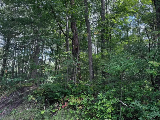 $125,000 | 16 Rice Corner Road, Brookfield, MA 01506