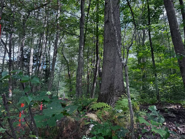 $125,000 | 16 Rice Corner Road, Brookfield, MA 01506