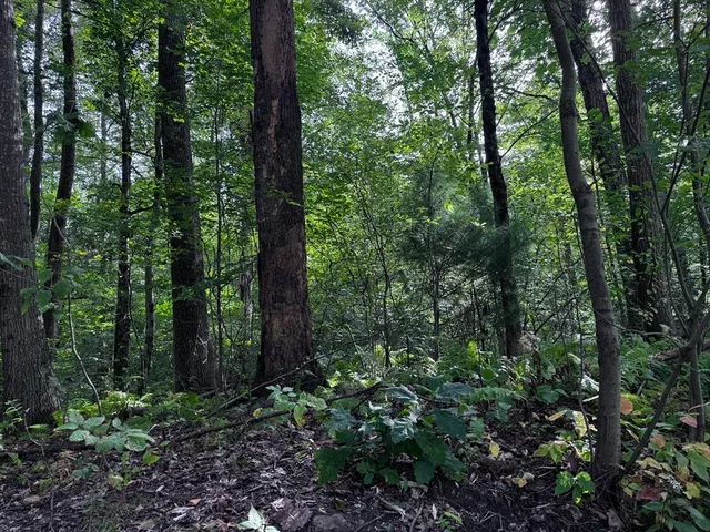 $125,000 | 16 Rice Corner Road, Brookfield, MA 01506