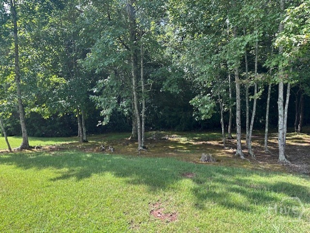 290 Belmont Road Athens, GA 30605 - Photo 19 of 62 Gallery Image 19