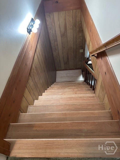 290 Belmont Road Athens, GA 30605 - Photo 51 of 62 Gallery Image 51
