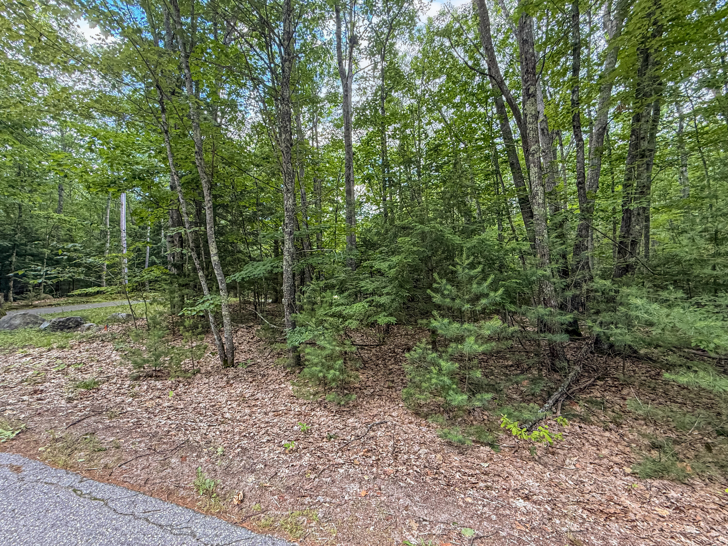 Lot 36-5 Union Falls Road Buxton, ME 04093 - Photo 11 of 14 964A103A-9654-42D5-9FBB-FB17E9B2B831