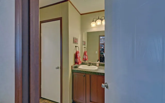 a bathroom with a sink and a mirror
