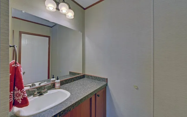 a bathroom with a sink vanity and a mirror