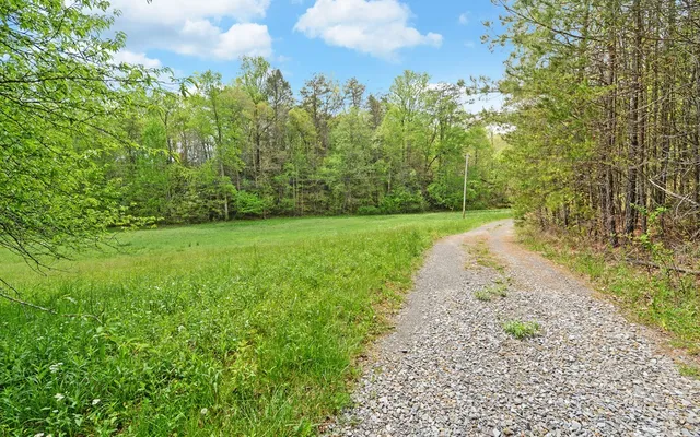 a view of a room with wooden floor and windows