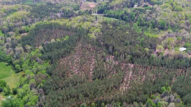 an aerial view of a house with a yard and a large tree