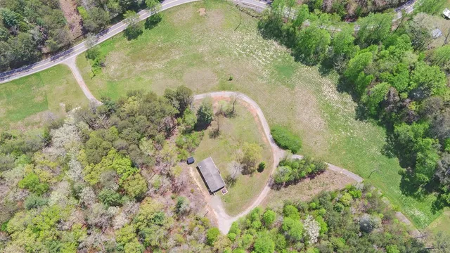 a view of a garden with flowers