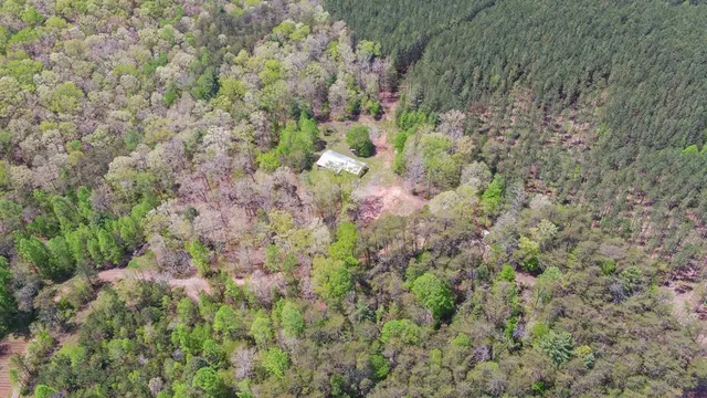 a view of a house with a lush green forest