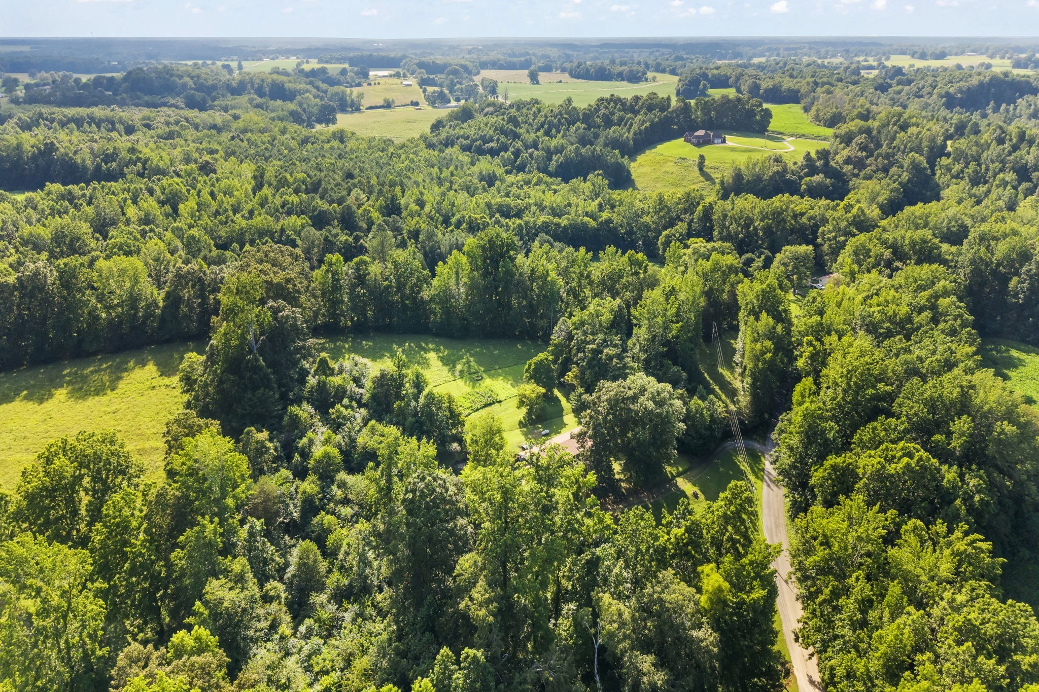 133 Mockerson Road Leoma, TN 38468 - Photo 31 of 33 an aerial view of a houses with a lush green forest