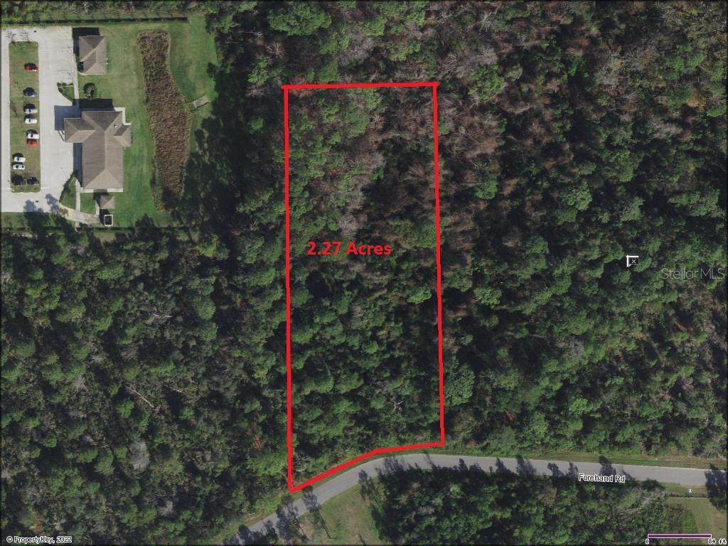 Forehand Road Davenport, FL 33896 - Photo 4 of 4 a view of a flower garden