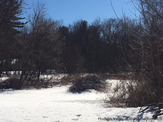 263 Cottekill Road Cottekill, NY 12419 - Photo 23 of 32 Photo 26