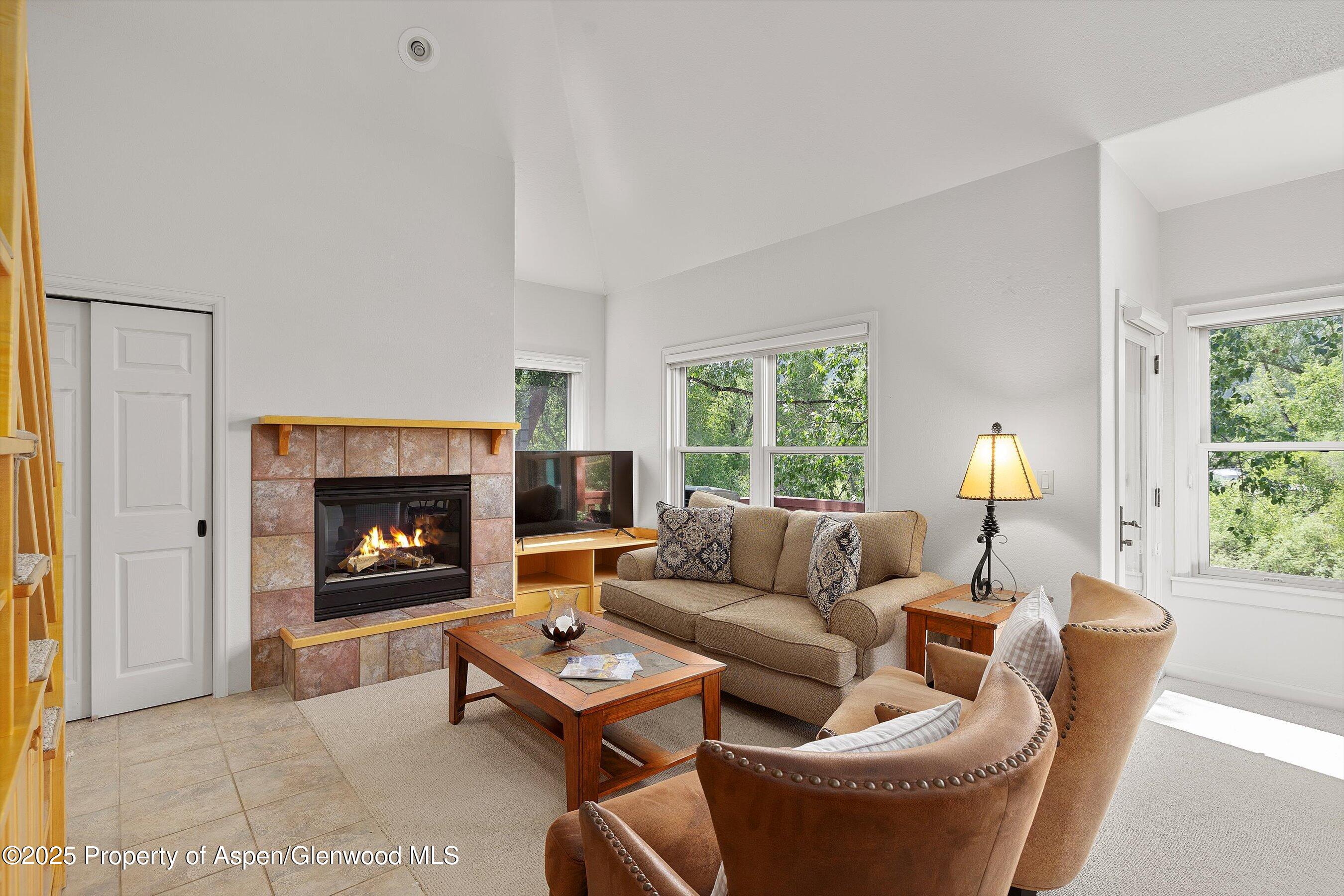 655 Gold Rivers Court, Unit 25F Basalt, CO 81621 - Photo 12 of 34 11-655GoldRiversCt_#25_2506_0300