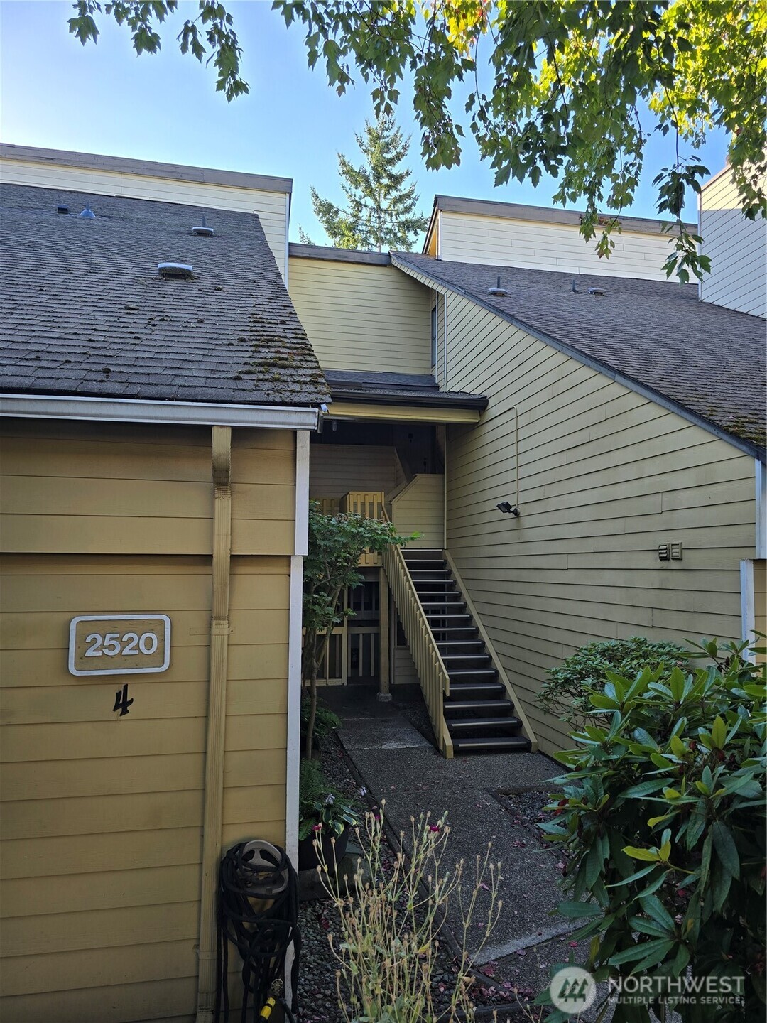 a view of a backyard