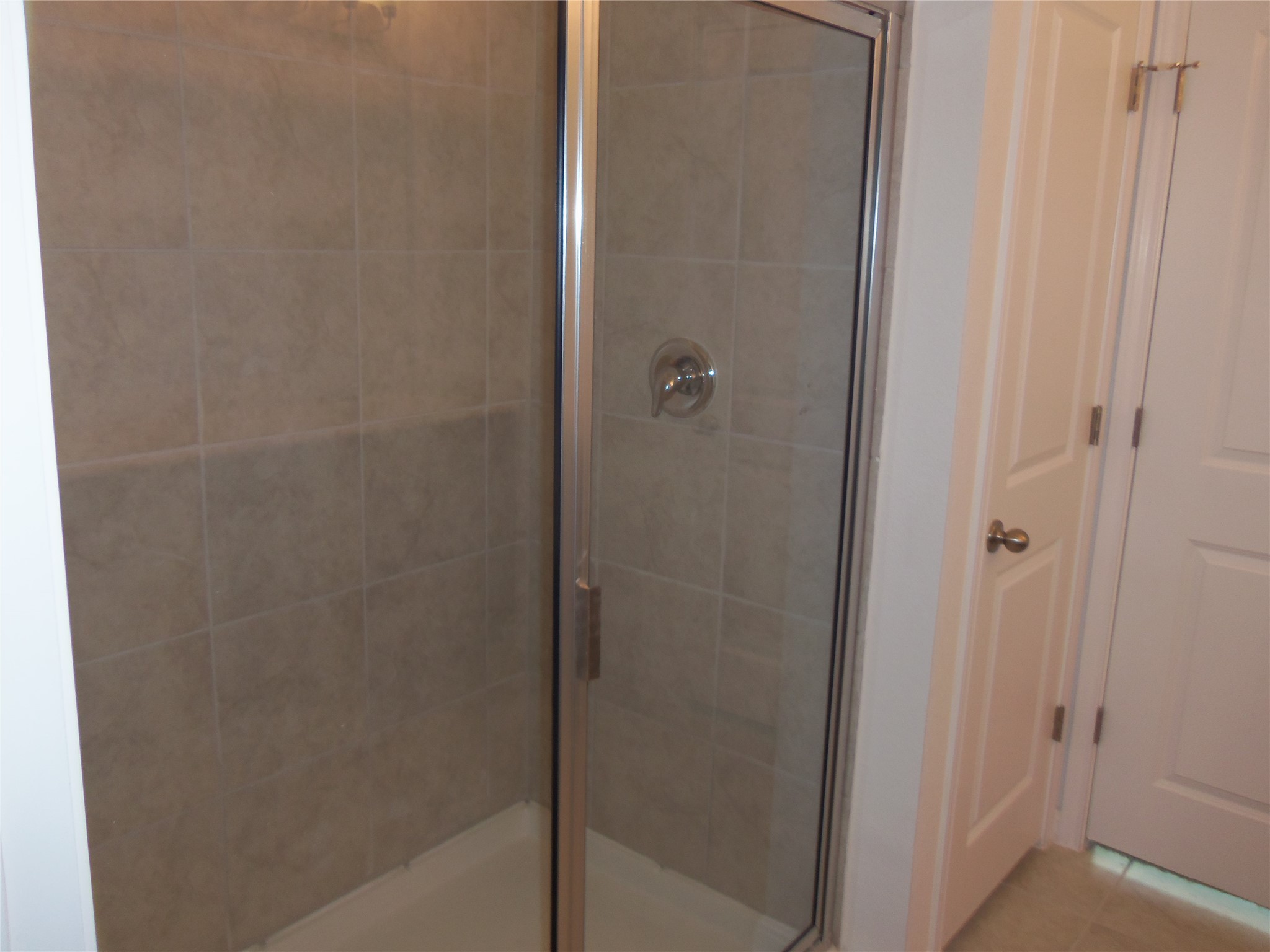 303 Cold Springs Loop Bastrop, TX 78602 - Photo 10 of 13 A well-appointed shower features modern tile walls and a sleek glass enclosure.