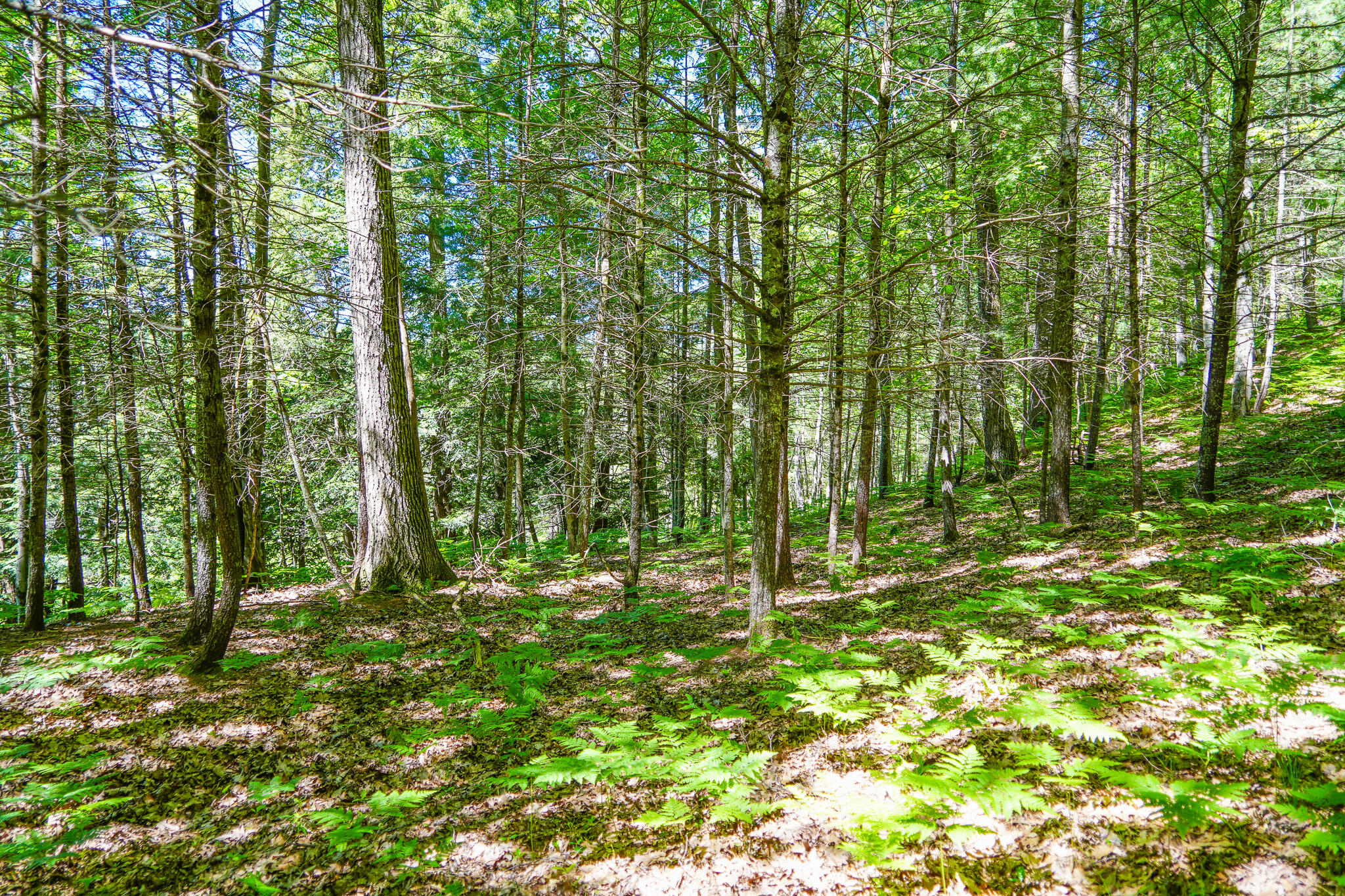 4993 Little River Road Manistee, MI 49660 - Photo 27 of 62 DSC00301