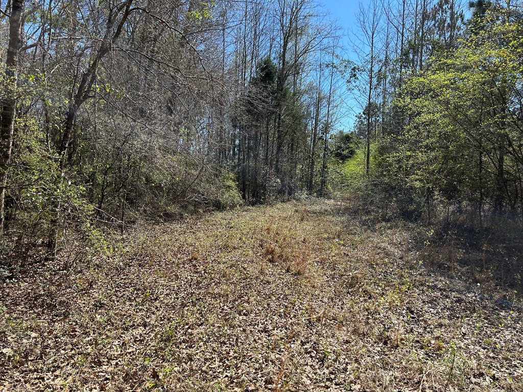 923 Lakeview Road Slocomb, AL 36375 - Photo 28 of 45