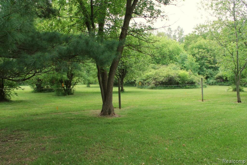6544 General Squier Road Almont, MI 48003 - Photo 48 of 53 Another view of horse pasture area surrounded by trees and bushes.