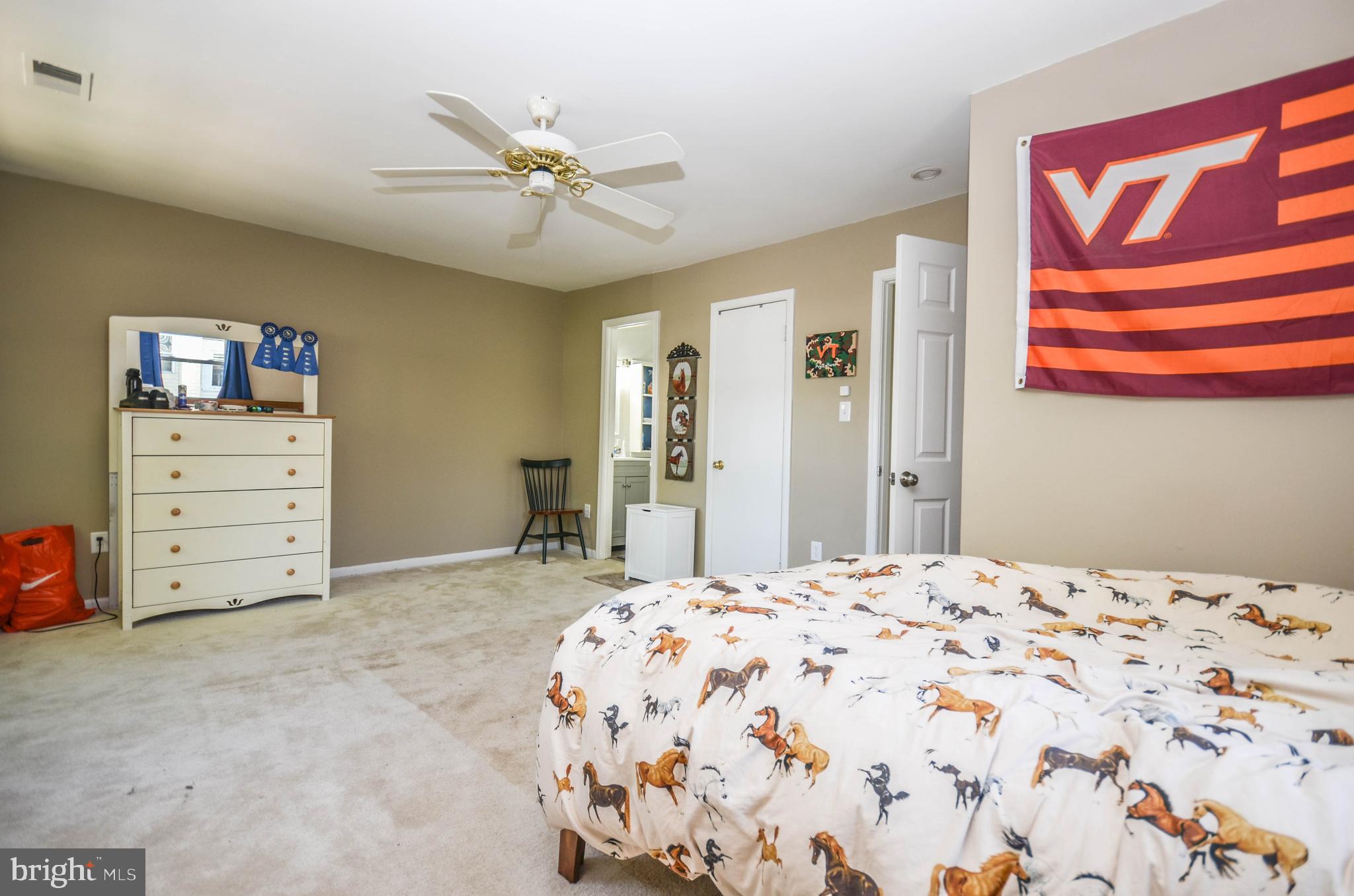 17501 Hoskinson Road Poolesville, MD 20837 - Photo 23 of 47 Master bedroom view 3