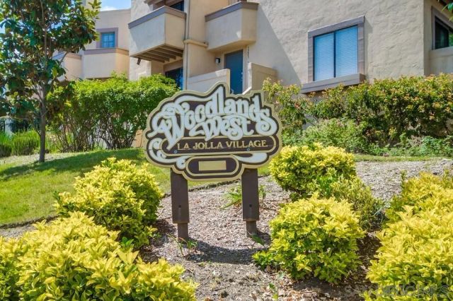 a view of a street with large trees