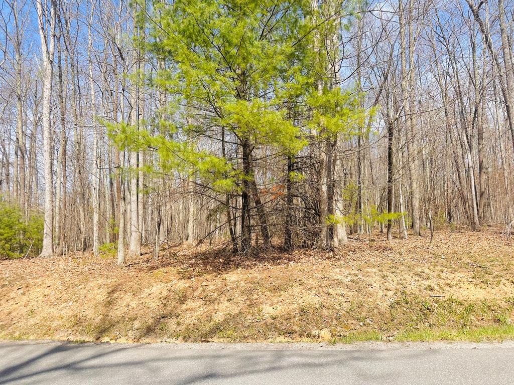 118 Rothfield Circle, Unit 69 Daniels, WV 25832 - Photo 5 of 5 Gallery Image 5