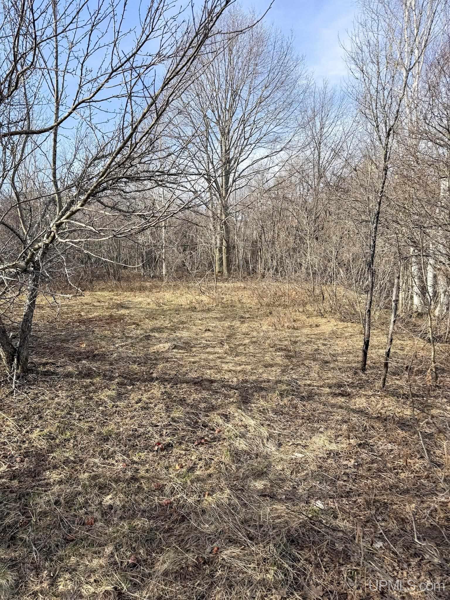 Lot D Mohawk Gay Road Mohawk, MI 49950 - Photo 7 of 18