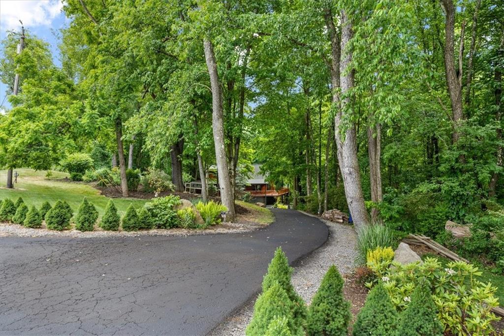 159 Brownsdale Road Butler, PA 16002 - Photo 40 of 50 a view of a street with a bench and trees