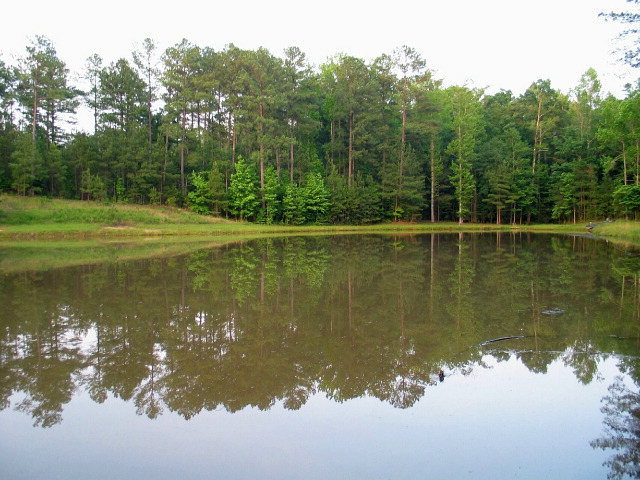 196 Glosson Road Gray, GA 31032 - Photo 2 of 40 a view of a lake view with a lake view