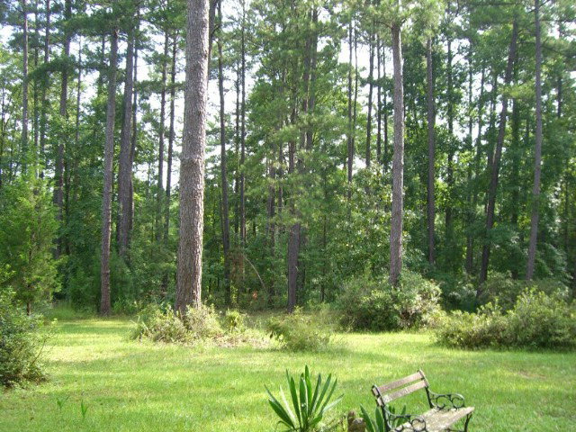 196 Glosson Road Gray, GA 31032 - Photo 30 of 40 a view of a park