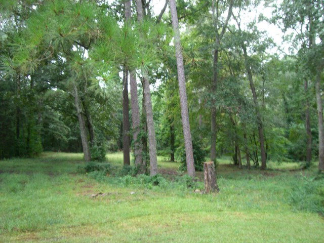 196 Glosson Road Gray, GA 31032 - Photo 34 of 40 a view of outdoor space and green space