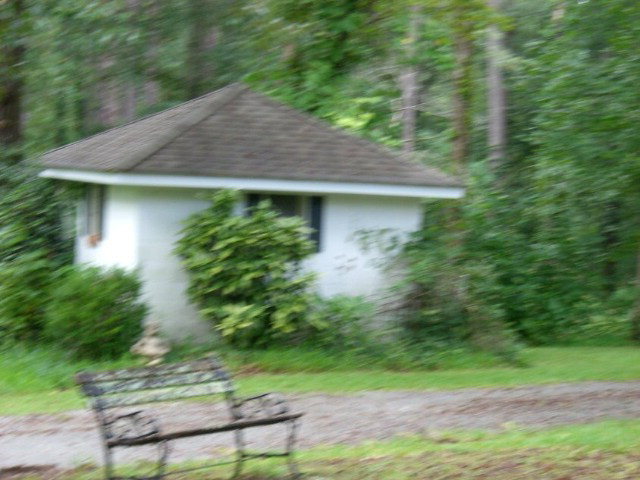 196 Glosson Road Gray, GA 31032 - Photo 36 of 40 a backyard of a house with plants and large trees