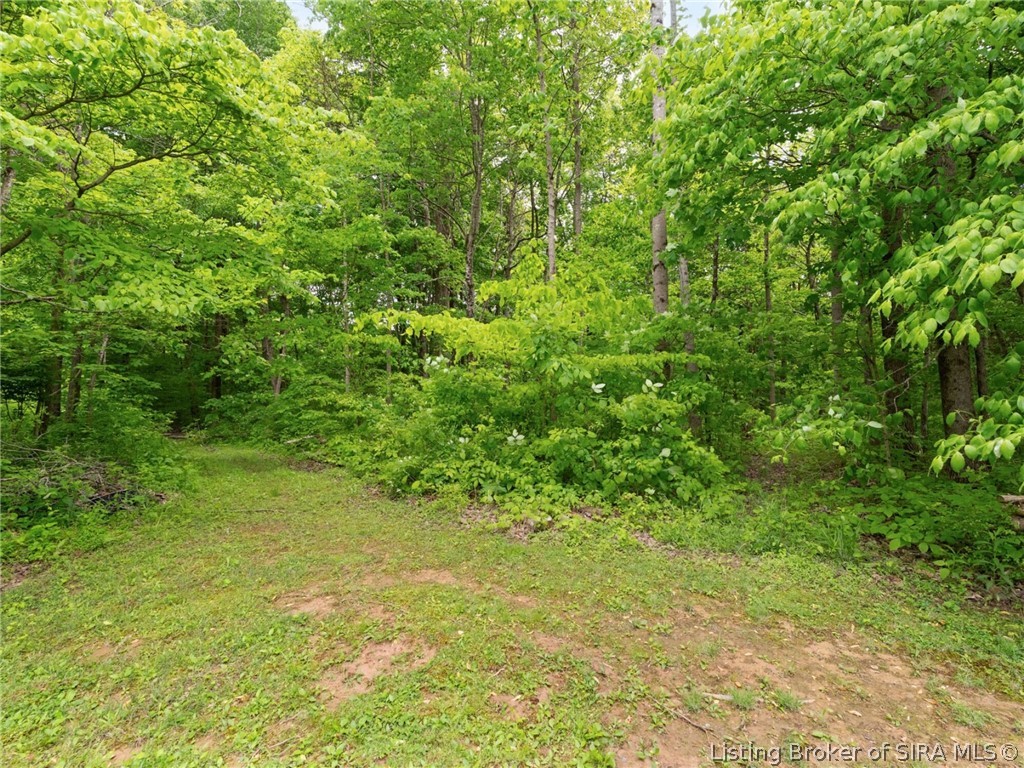 Tract 2 Grange Hall Road Northeast Corydon, IN 47112 - Photo 5 of 6