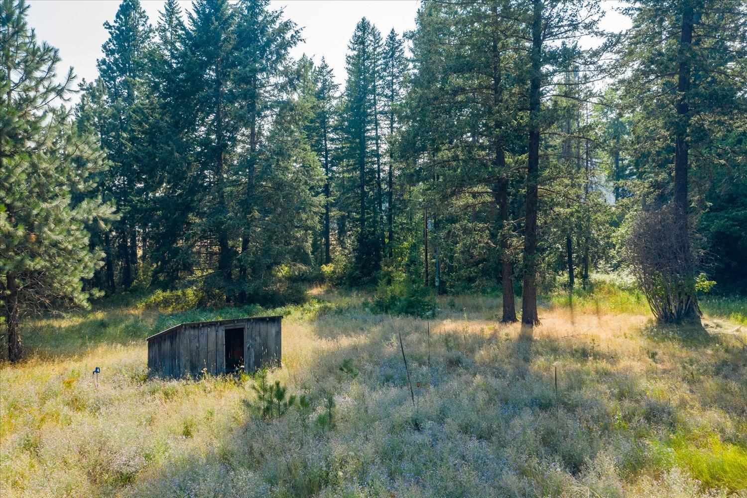 4600 Bellstar Road Clayton, WA 99110 - Photo 33 of 45