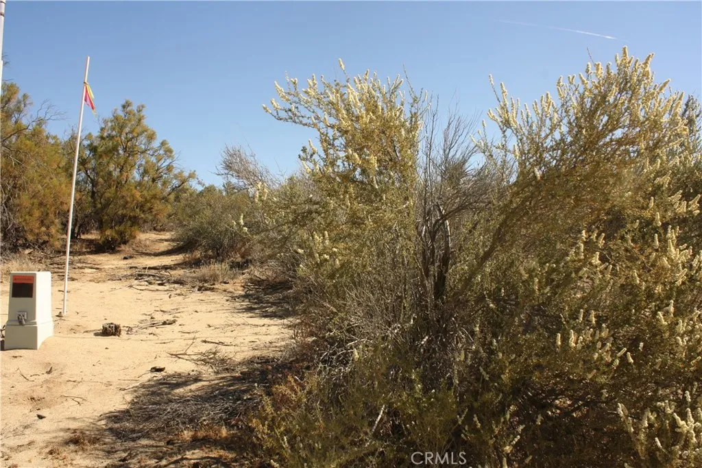 0 Pony Anza, CA 92539 - Photo 6 of 23